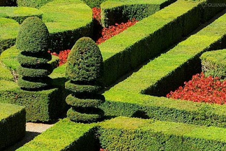 中国·金沙集团-www.1991cc|特色百科-Sands Group