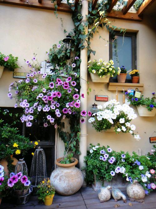 中国·金沙集团-www.1991cc|特色百科-Sands Group